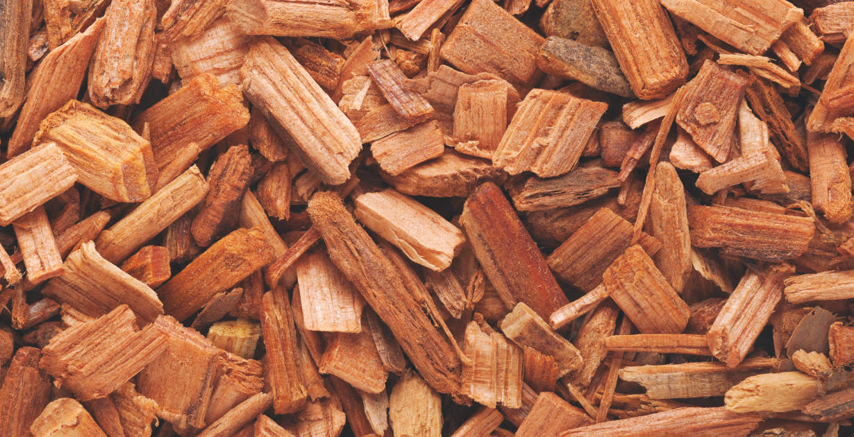 Huile essentielle de bois de cèdre 14 utilisations pour la peau, les — free download