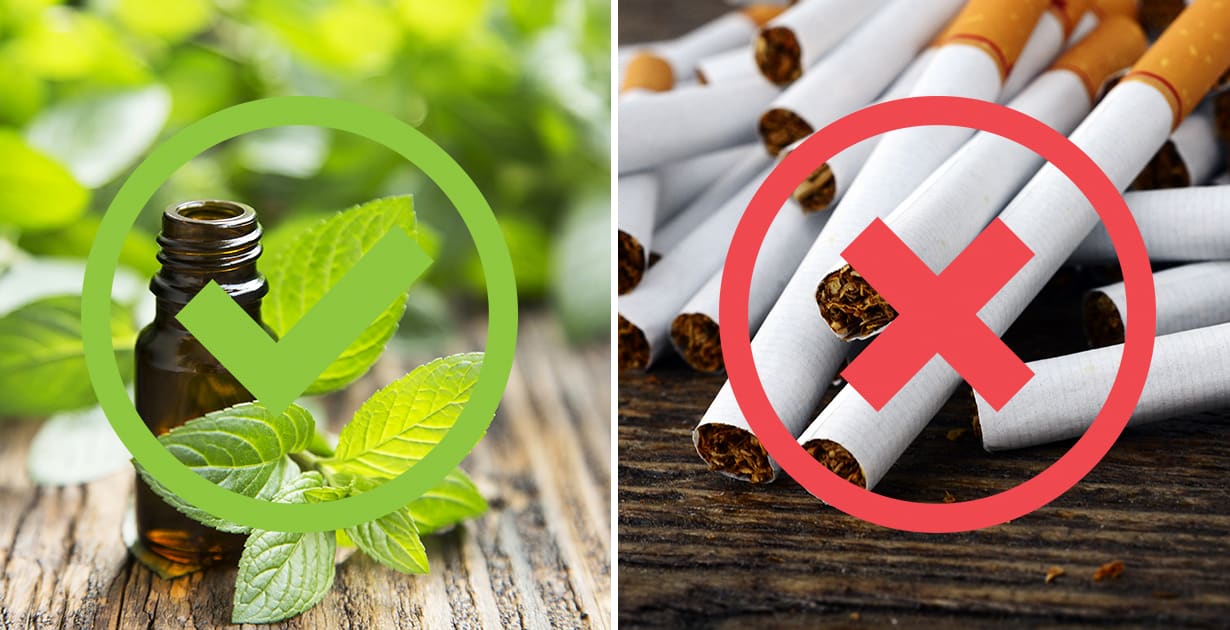 Le Menthol Est il Mauvais Pour Vous Utilisations Avantages Et Effets 