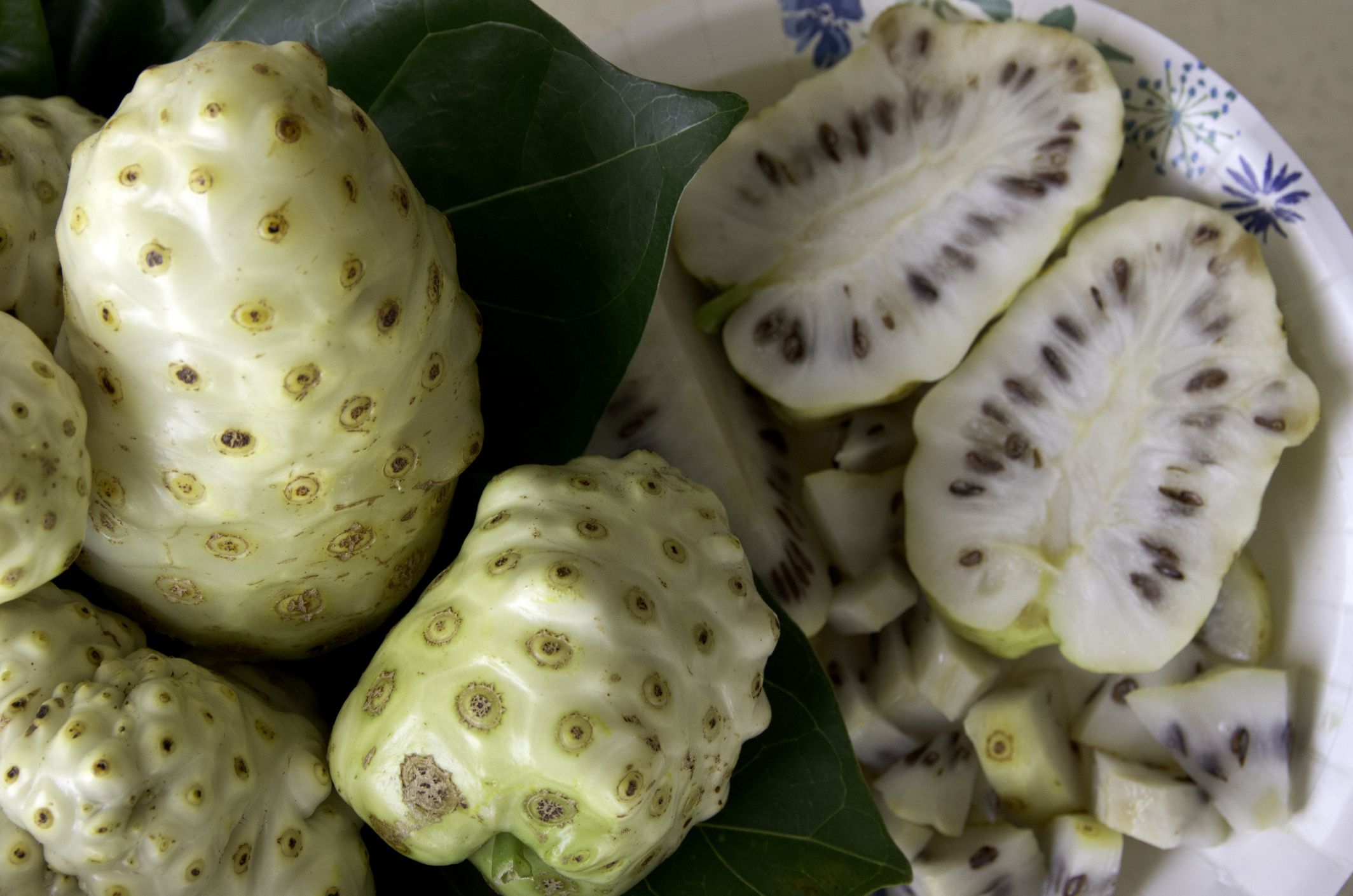 Jus de Noni : Avantages, effets secondaires, posologie et interactions