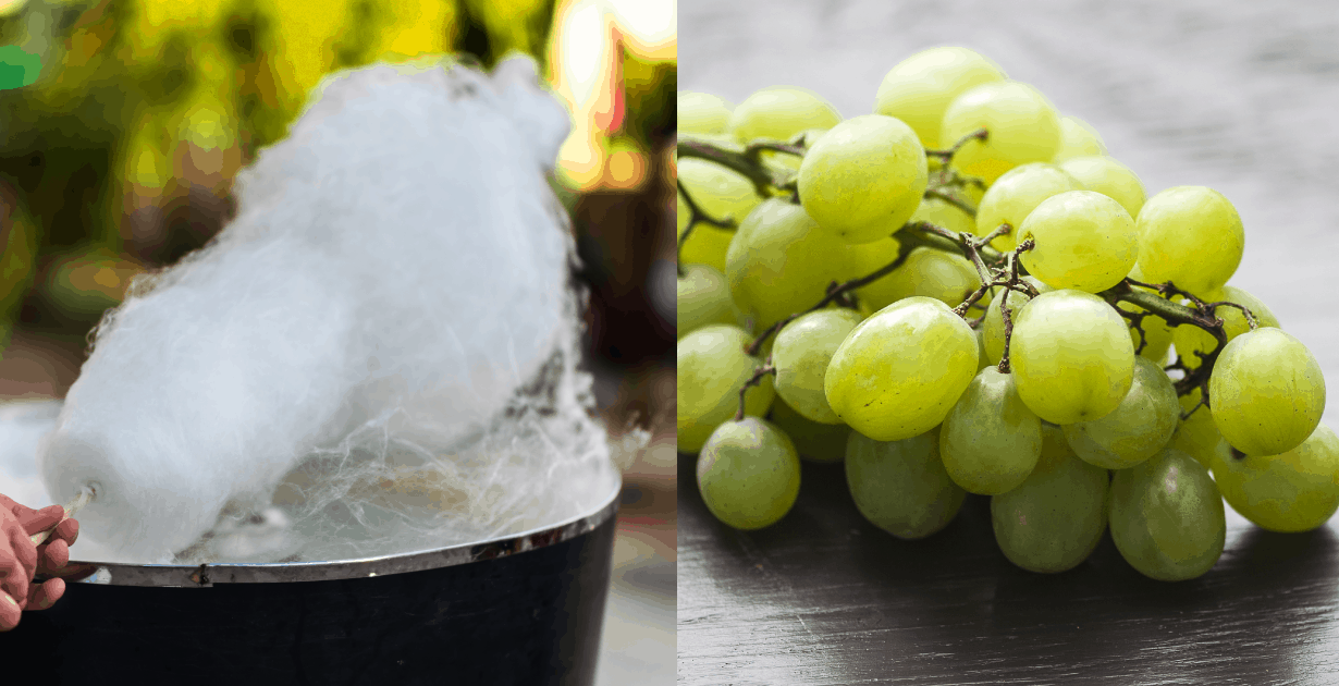 Que sont les raisins de la barbe à papa ? Avantages, nutrition, utilisations, etc.